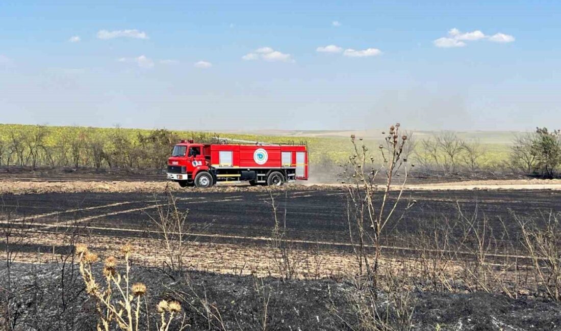 Tekirdağ’ın Hayrabolu ilçesindeki bir buğday tarlasında çıkan yangın, vatandaşların ihbarıyla