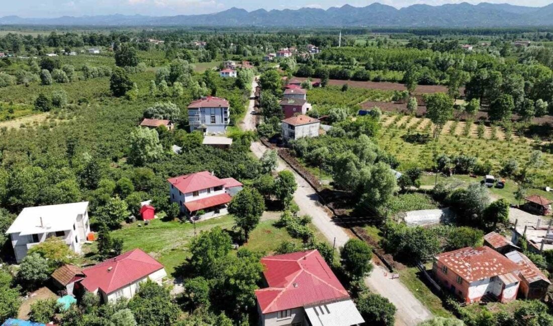 Samsun'un Terme ilçesinde doğalgaz ağı genişletme çalışmaları sürüyor. Belediye Başkanı
