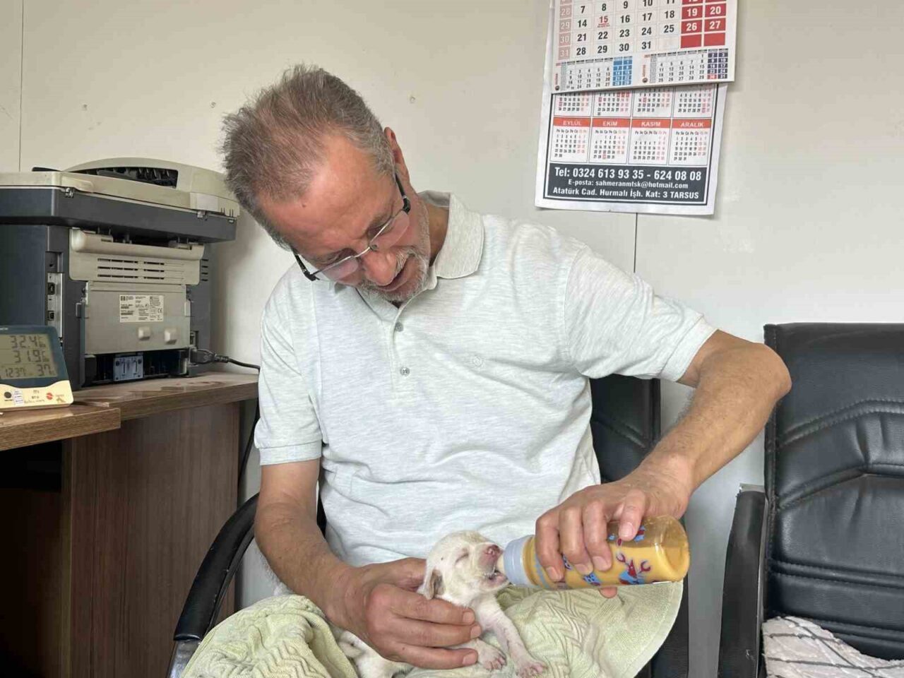 Mersin'in Tarsus ilçesinde, veteriner Müslüm Kestek'in bakımını üstlendiği Çatalburun köpeği