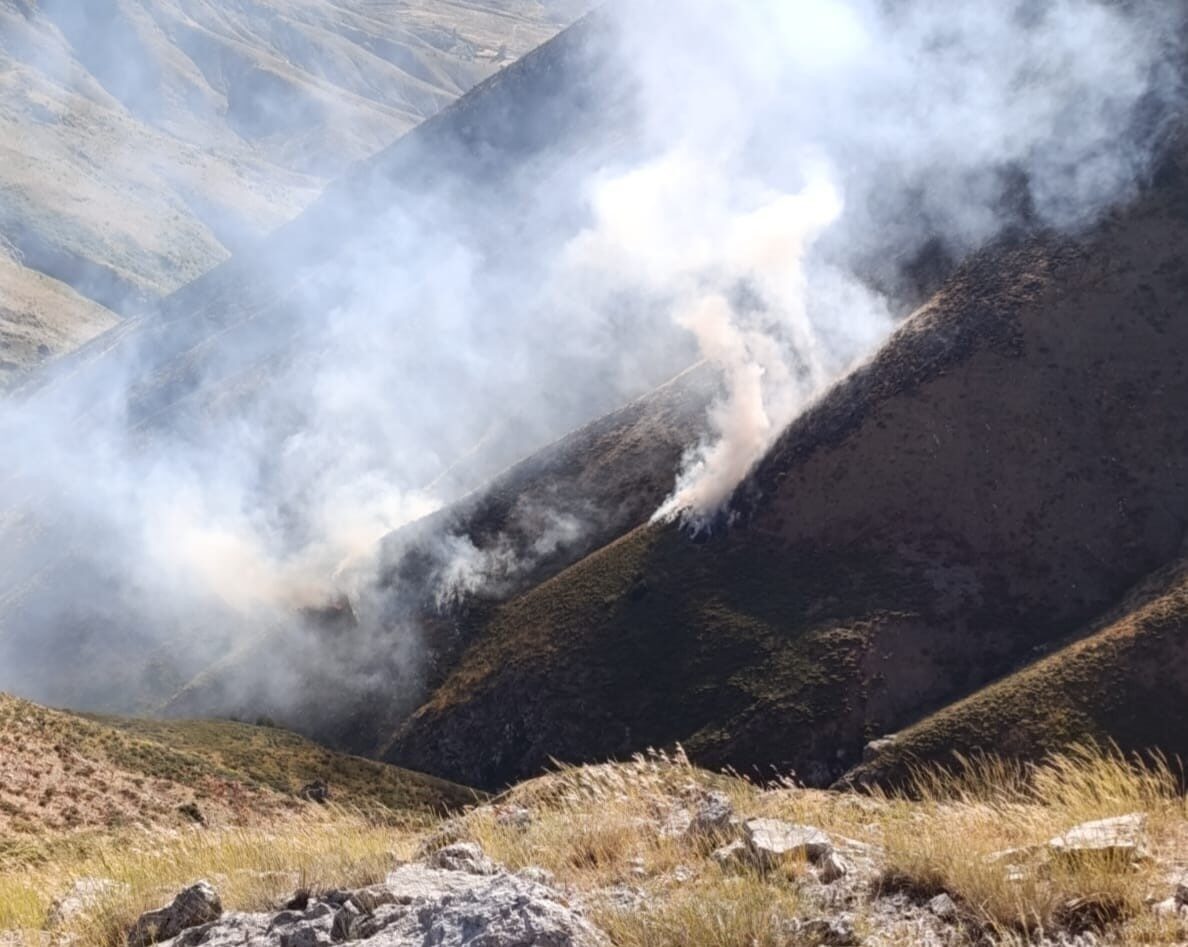 Adıyaman Sincik'teki Teşikan yaylasında, Türk Dağında çıkan yangın endişe yarattı.