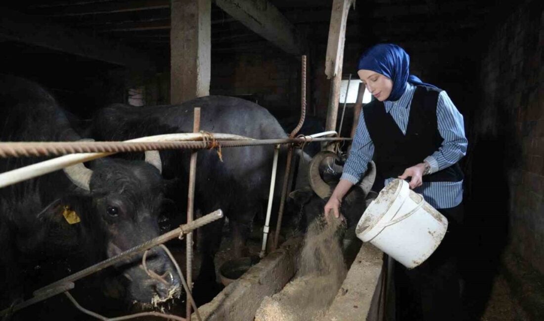 Türkiye İstatistik Kurumu (TÜİK), Mayıs ayında ticari süt işletmeleri tarafından