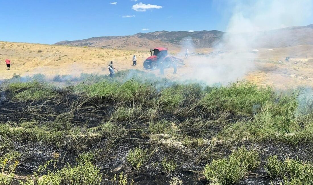 Tunceli'nin Pertek ilçesindeki Geçitkaya ve Arpalı köylerinde iki biçerdöver yangına