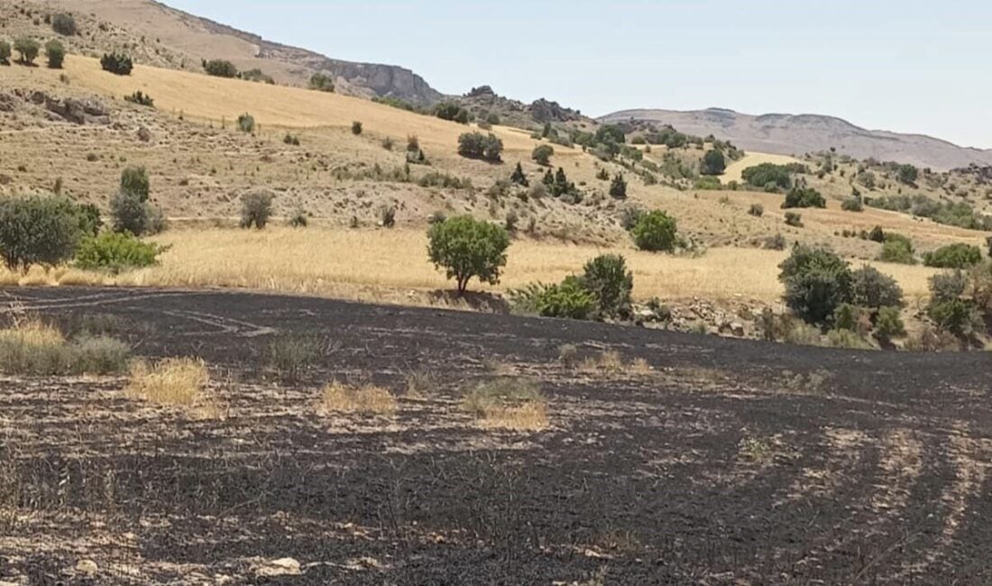 Tunceli'nin Çemişgezek ilçesinde, Tepebaşı Mahallesi Tarhınik mevkiinde çıkan yangında 34