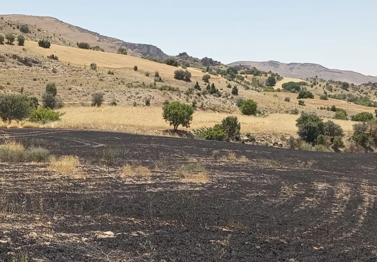 Tunceli'nin Çemişgezek ilçesinde, Tepebaşı Mahallesi Tarhınik mevkiinde çıkan yangında 34