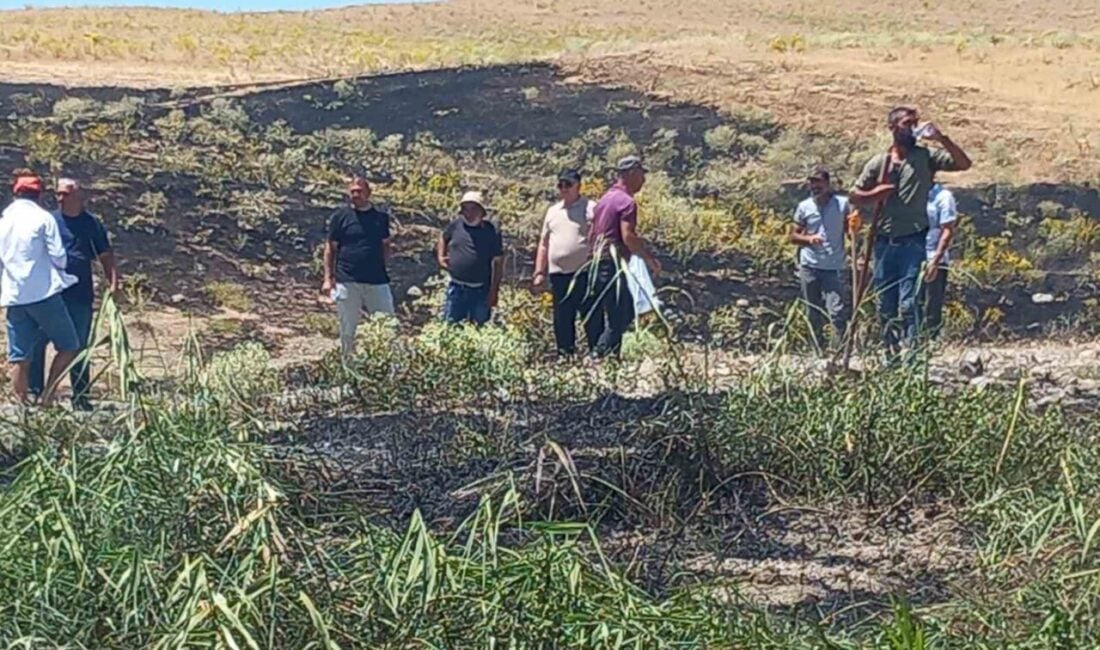 Tunceli'nin Pertek ilçesindeki Geçityaka Köyü'nde çıkan yangın, köylülerin ilk müdahalesinin