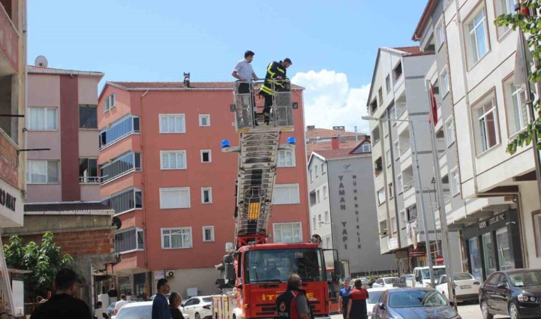 Türkeli Belediyesi, Sivil Savunma Uzmanlığı ve İtfaiye Amirliği iş birliği