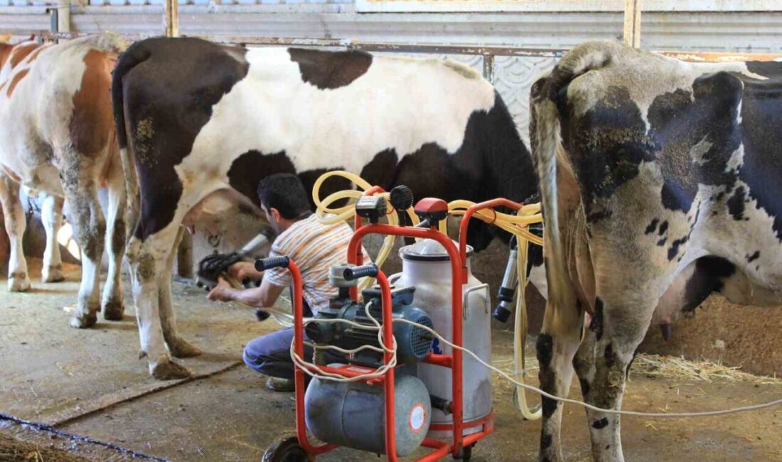 TÜSEDAD, çiğ süt maliyetlerinin daha doğru hesaplanabilmesi için tüm üretici