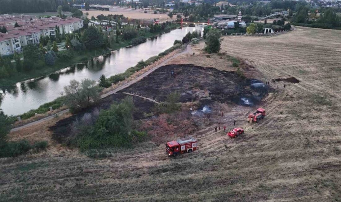 Eskişehir'in Odunpazarı ilçesinde 3 kişinin neden olduğu yangında yaklaşık 1000