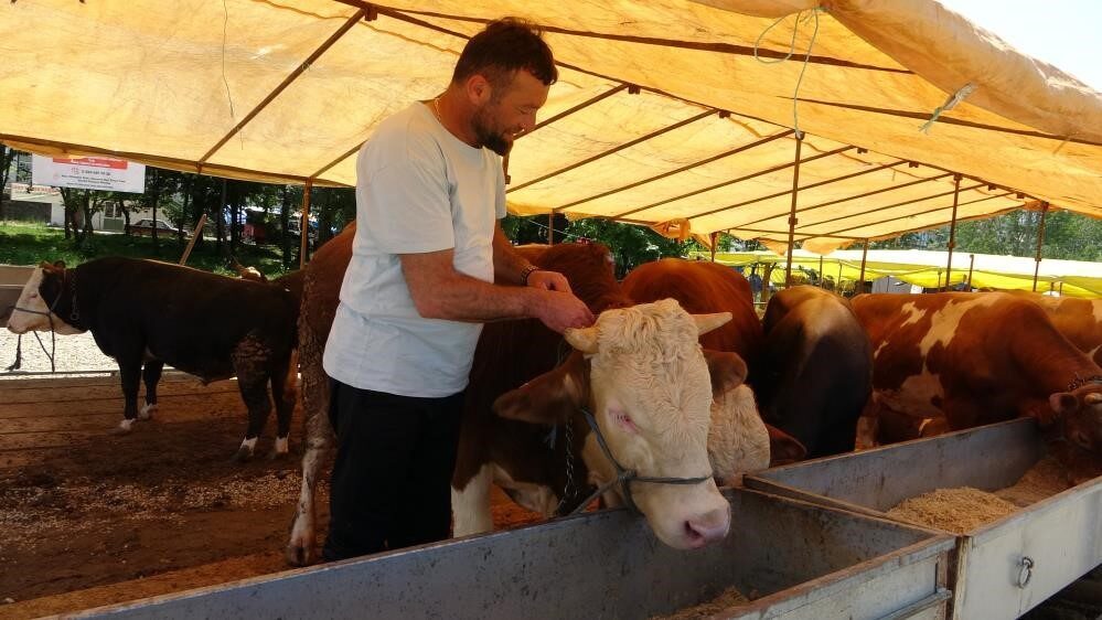 Tarım ve Orman Bakanlığı, Gıda ve Kontrol Genel Müdürü Ersin