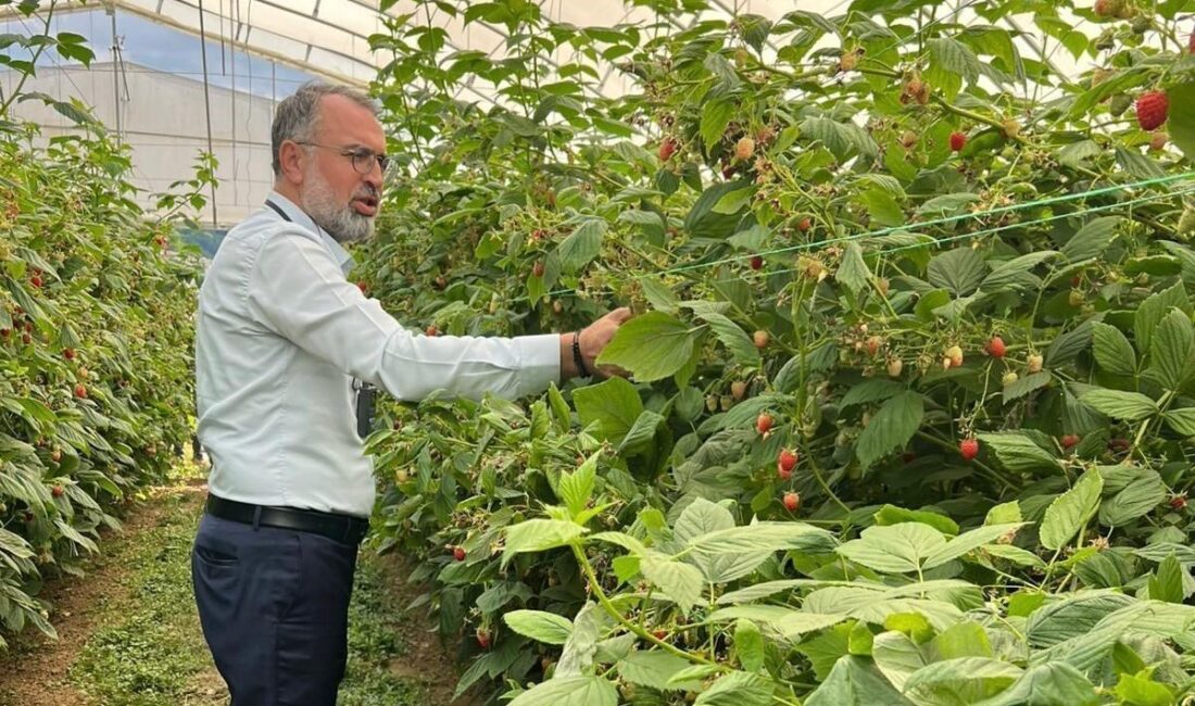 Bursa Ticaret ve Sanayi Odası (BTSO) öncülüğündeki heyet, Kestel Belediye