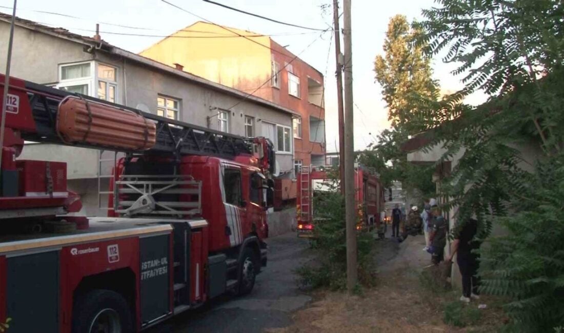 Ümraniye'de Yukarı Dudullu Mahallesi'nde bir binanın çatısında tadilat sırasında çıkan