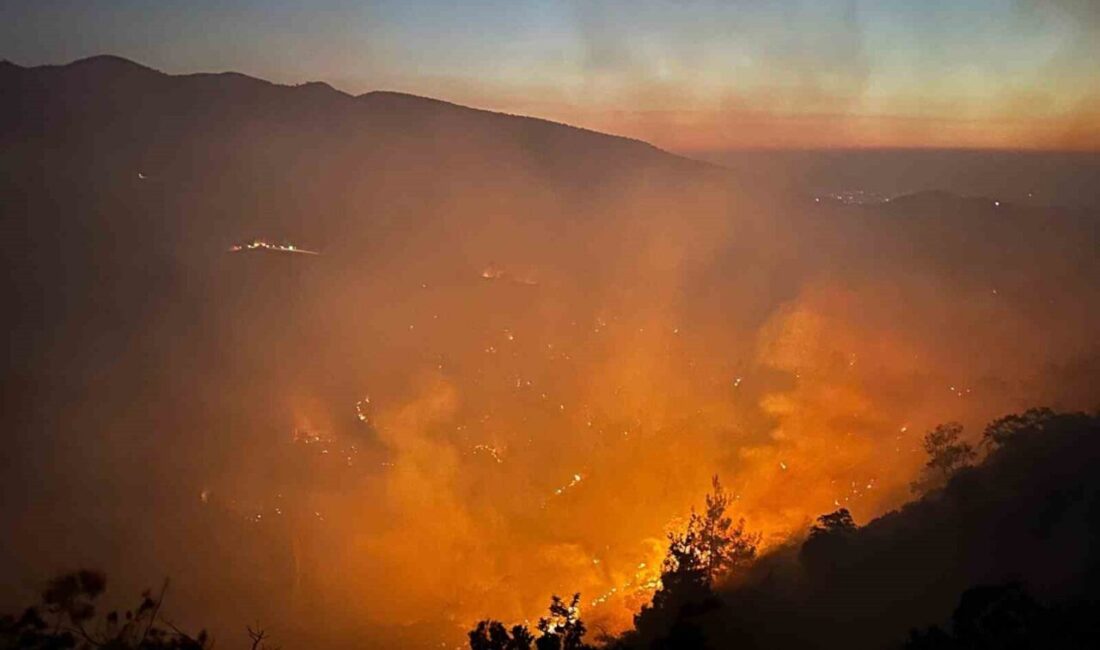 Uşak ve Manisa'da çıkan yangınlar nedeniyle 21 ev ile 1