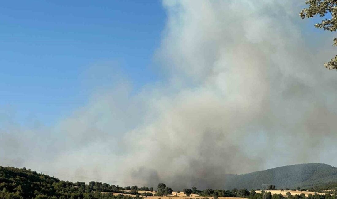 Uşak'ın Banaz ilçesi Kızılhisar köyü yakınlarındaki ormanlık alanda yangın çıktı.