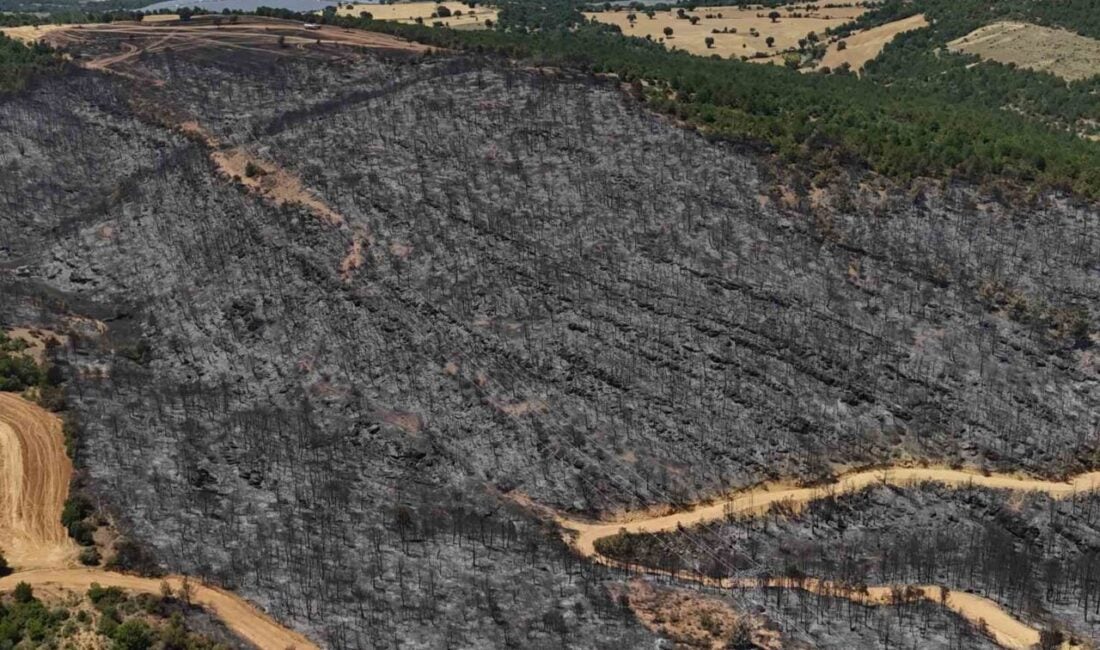 Uşak'ın Banaz ilçesinde 8 Temmuz'da çıkan yangın, Kızılhisar köyü yakınlarında