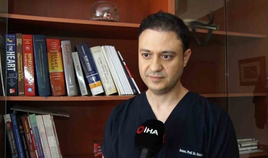 İstanbul Üniversitesi Kardiyoloji Uzmanı Doç. Dr. Samim Emet, yaz aylarındaki