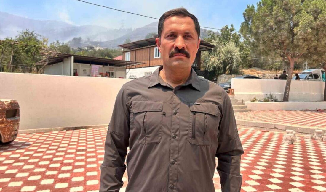 Hatay Valisi Mustafa Masatlı, Karaali Mahallesi'nde çıkan orman yangını nedeniyle