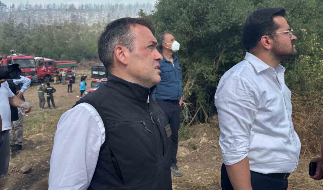 Bilecik’in Vezirhan Beldesi'ndeki Zobran köyünde meydana gelen orman yangınında, Vali