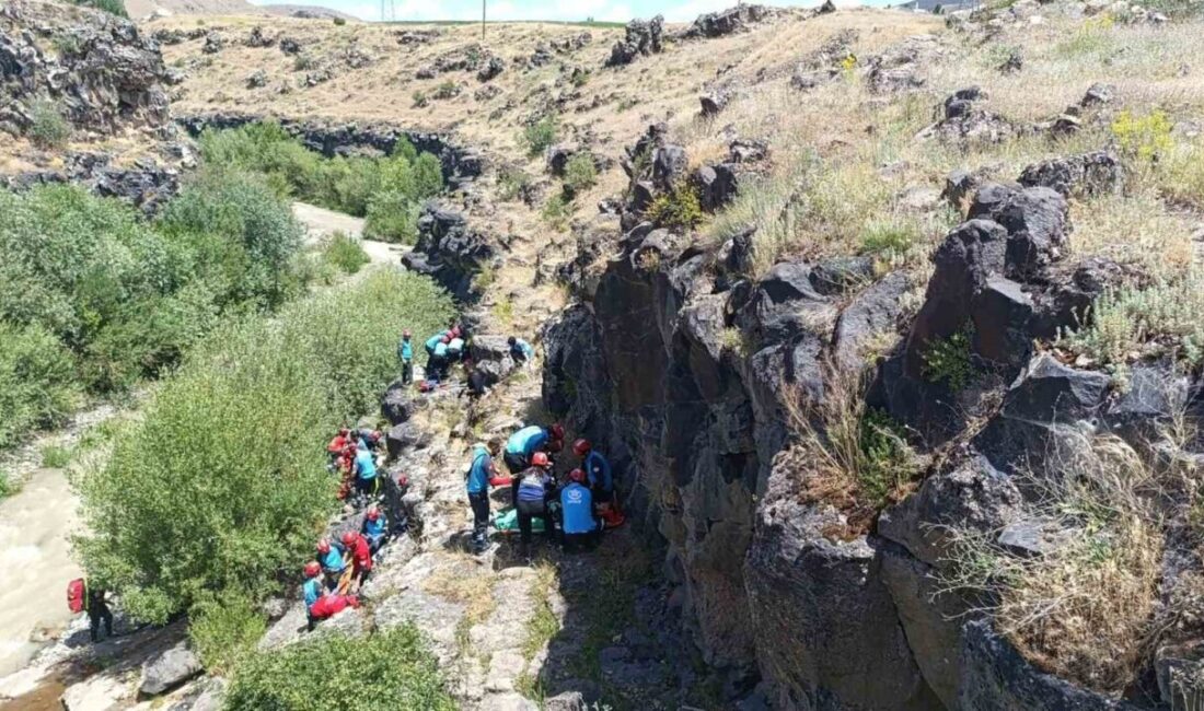 Van’ın Muradiye ilçesinde 4 ilden 125 Ulusal Medikal Kurtarma Ekibi