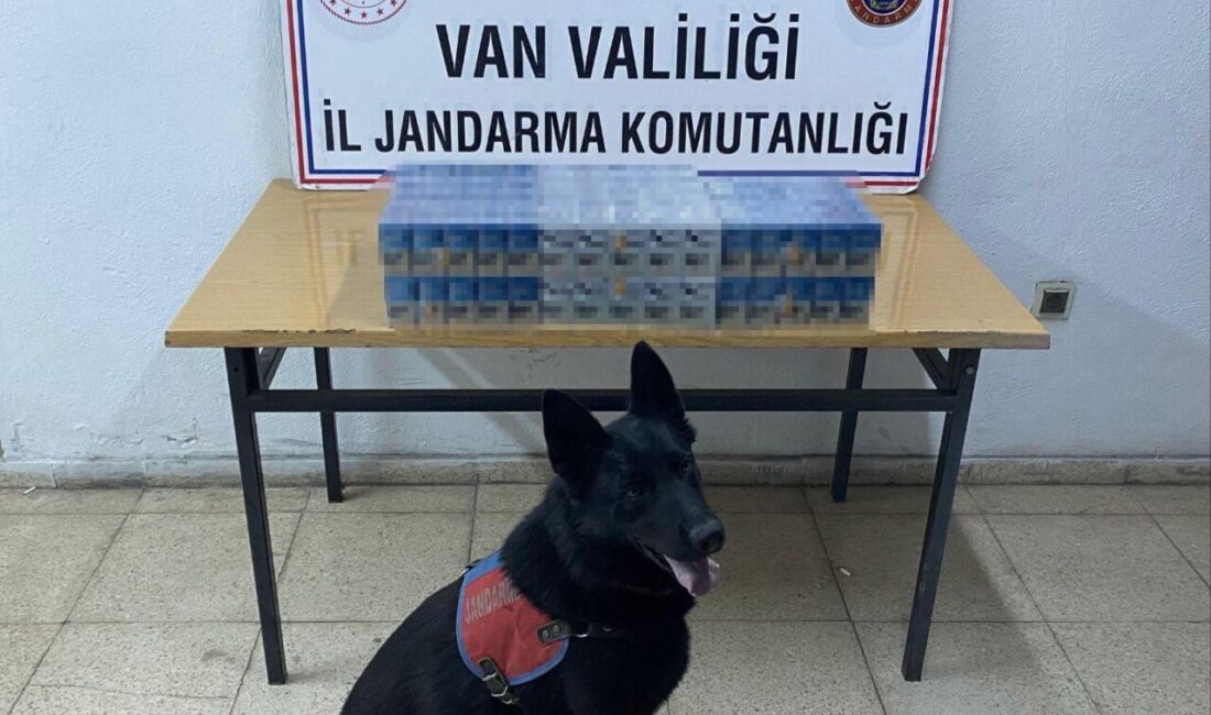 Van'da jandarma ekipleri, 30 Haziran-6 Temmuz 2025 tarihleri arasında gerçekleştirdikleri
