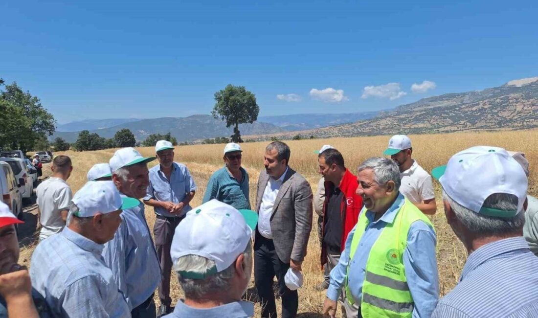 Samsun'un Vezirköprü ilçesinde, Tarım ve Orman Bakanlığı'nın desteklediği 'Baharın İlk