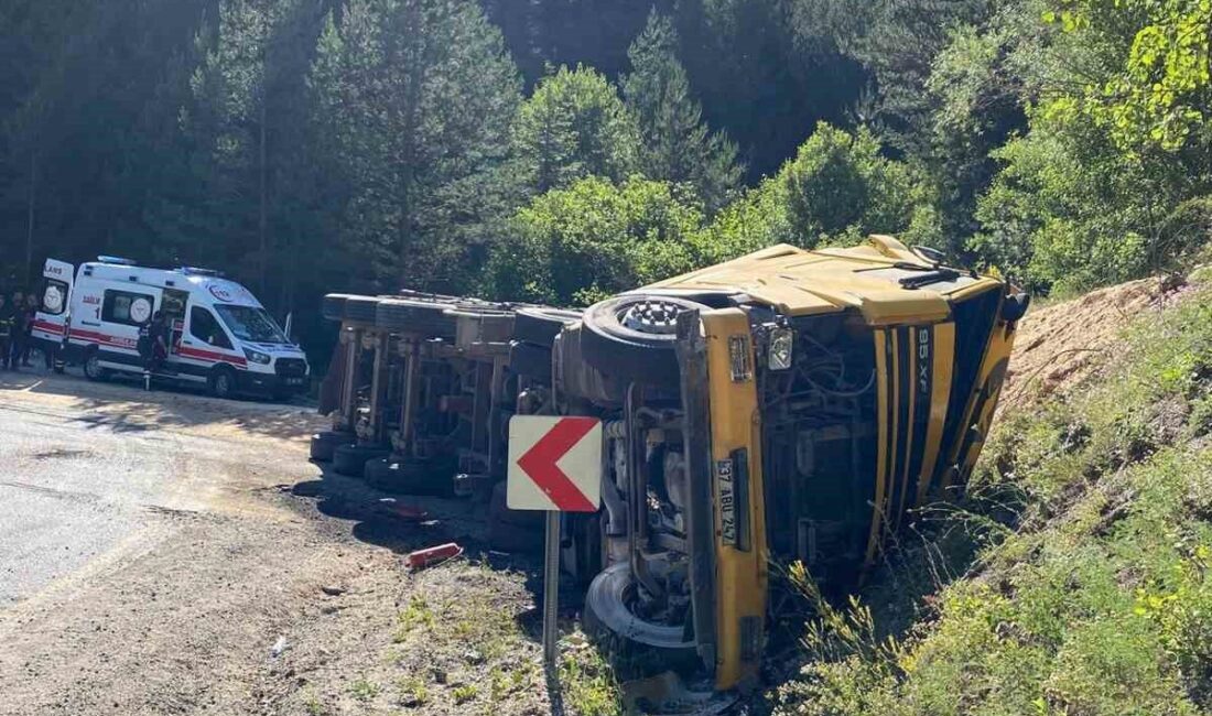 Kastamonu'nun Tosya ilçesinde viraja giremeyen bir tır devrildi. Olayda, tırda