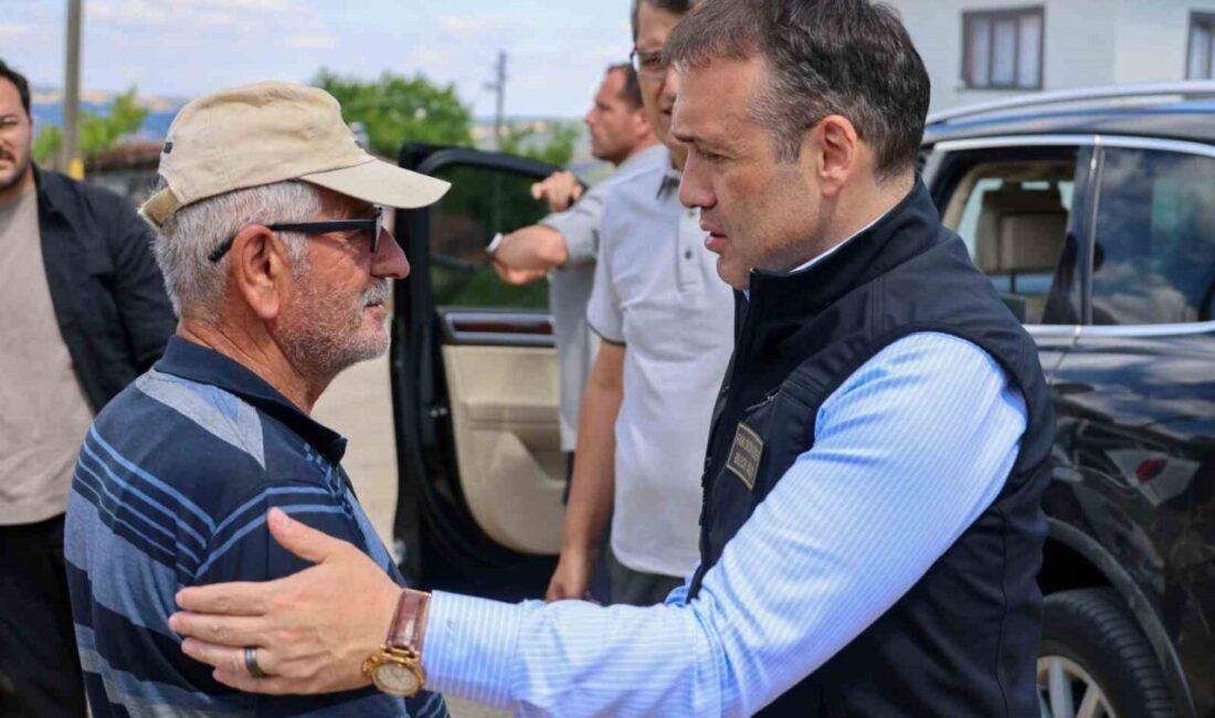 Bilecik Valisi Faik Oktay Sözer, orman yangınlarından etkilenen Gölpazarı ve