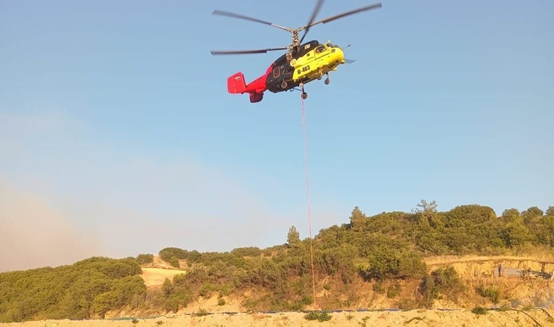 Manisa'nın Sarıgöl ve Uşak’ın Eşme ilçeleri arasındaki orman yangını için