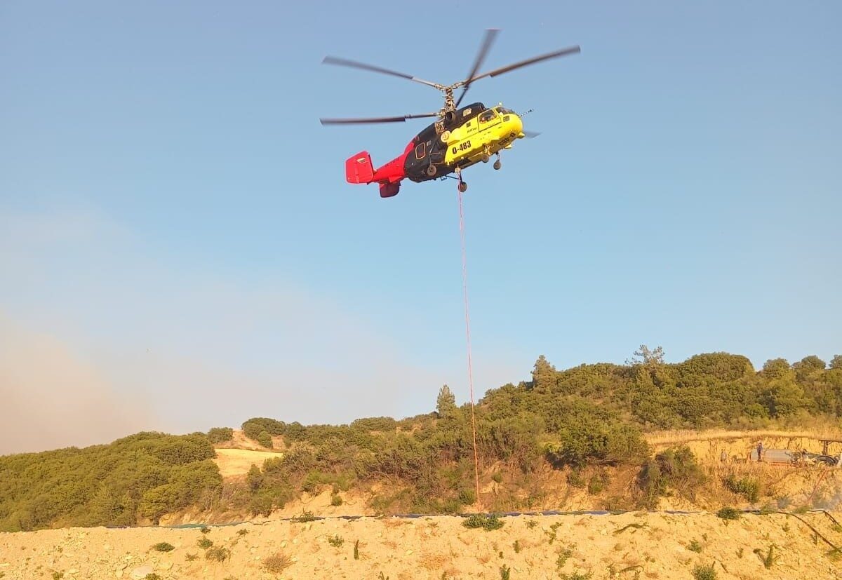 Manisa'nın Sarıgöl ve Uşak’ın Eşme ilçeleri arasındaki orman yangını için
