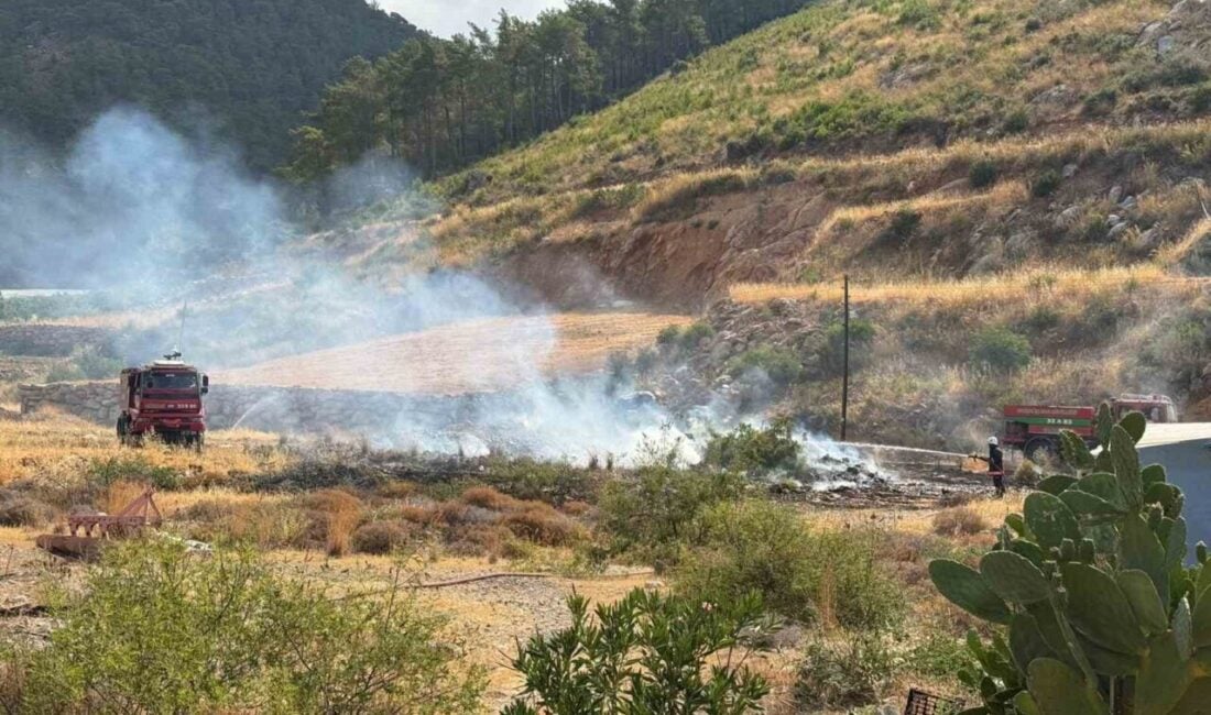 Mersin’in Bozyazı ilçesinde, Tekeli Mahallesi'nde sabah saatlerinde meydana gelen yangın,
