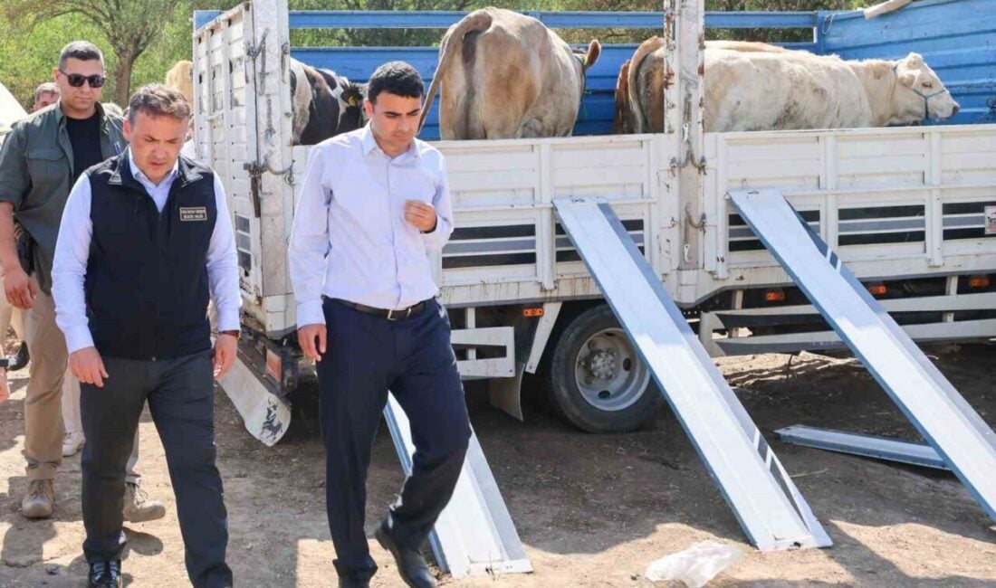 Bilecik'in Gölpazarı ilçesindeki yangın sonrası, Vali Faik Oktay Sözer zarar