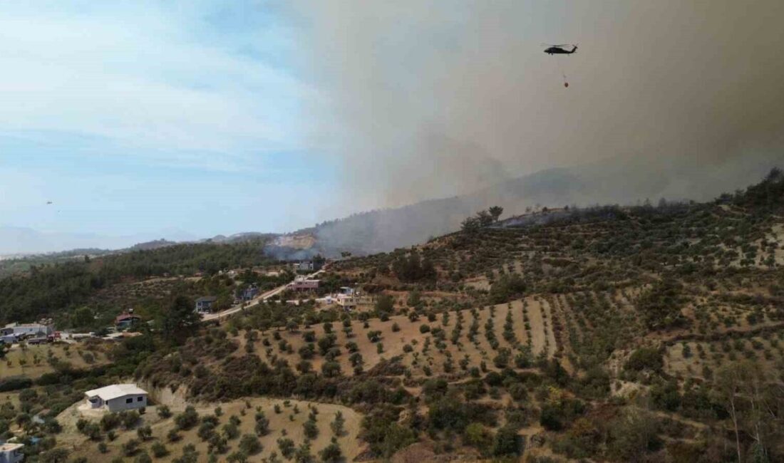 Hatay'ın Antakya ilçesinde Karaali Mahallesi'ndeki orman yangını, 25 saat boyunca