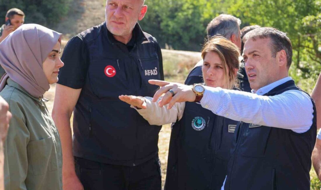 Bilecik'in Gölpazarı ve Osmaneli ilçelerinde çıkan orman yangınları sonrası barınma