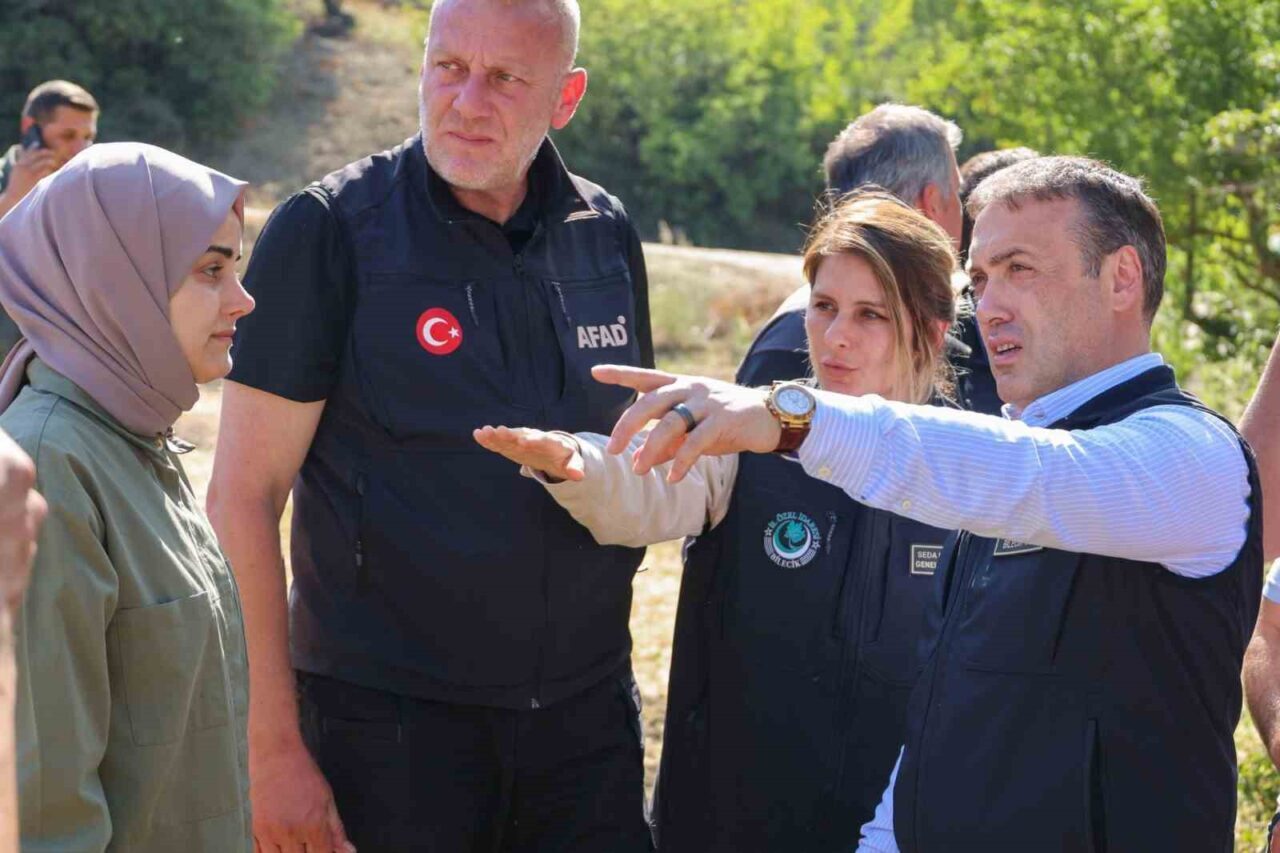 Bilecik'in Gölpazarı ve Osmaneli ilçelerinde çıkan orman yangınları sonrası barınma