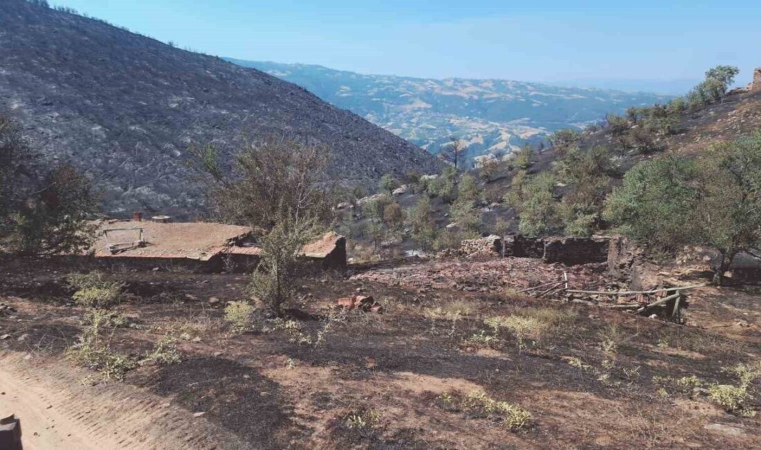 Manisa'nın Sarıgöl ilçesinde başlayan ve Uşak'ın Eşme ilçesine ulaşan yangında