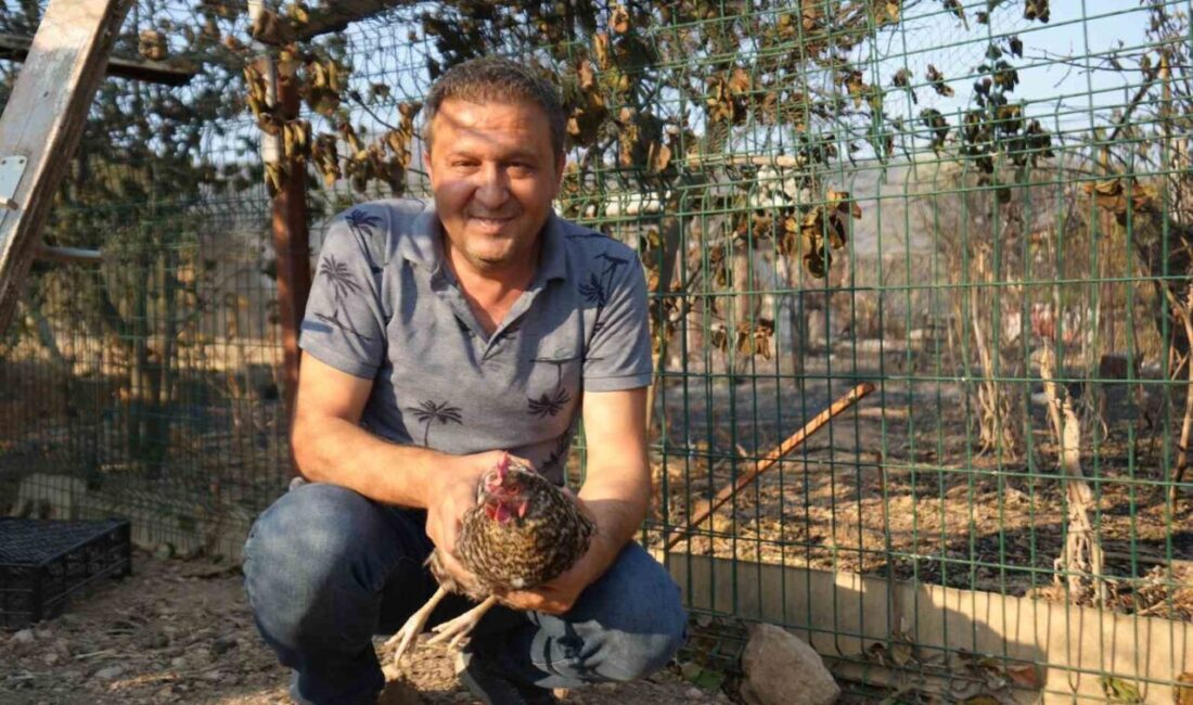 Bilecik'teki orman yangınında üç bağ evi yok oldu. Ancak Hayati