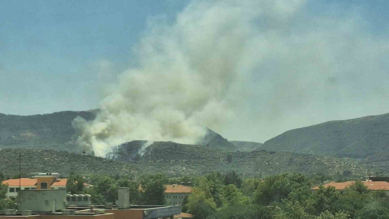 İzmir’in Çeşme ve Ödemiş ilçelerinde süren yangınların ardından, Selçuk'un Kınalı