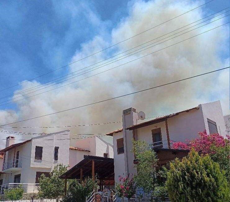 İzmir'in Çeşme ilçesinde, Ildır Mahallesi'nde otluk alanda başlayan yangın, yerleşim