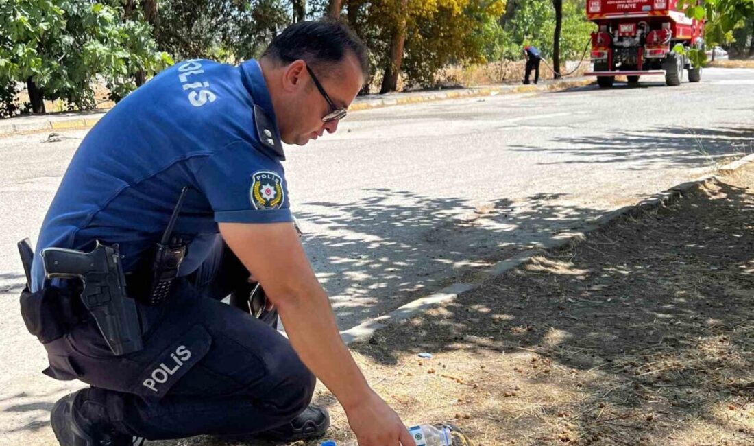 Adıyaman'daki bir orman yangınında, polis ekipleri alevler arasından bir kaplumbağayı
