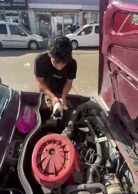 Erzurum'un Karayazı ilçesinde bir otomobilin motor bölümünde sıkışan yavru kedi,