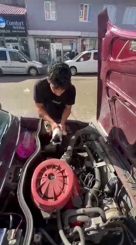 Erzurum'un Karayazı ilçesinde bir otomobilin motor bölümünde sıkışan yavru kedi,
