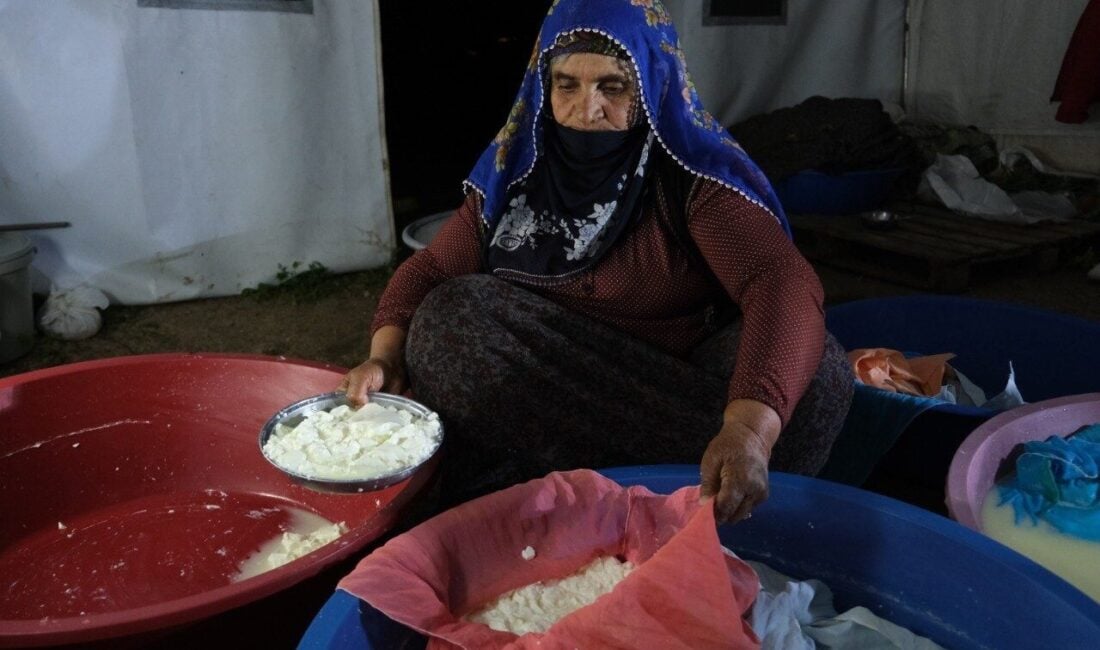 Erzincan'da üretilen coğrafi işaretli Tulum Peyniri, yüksek rakımlı yaylalarda beslenen