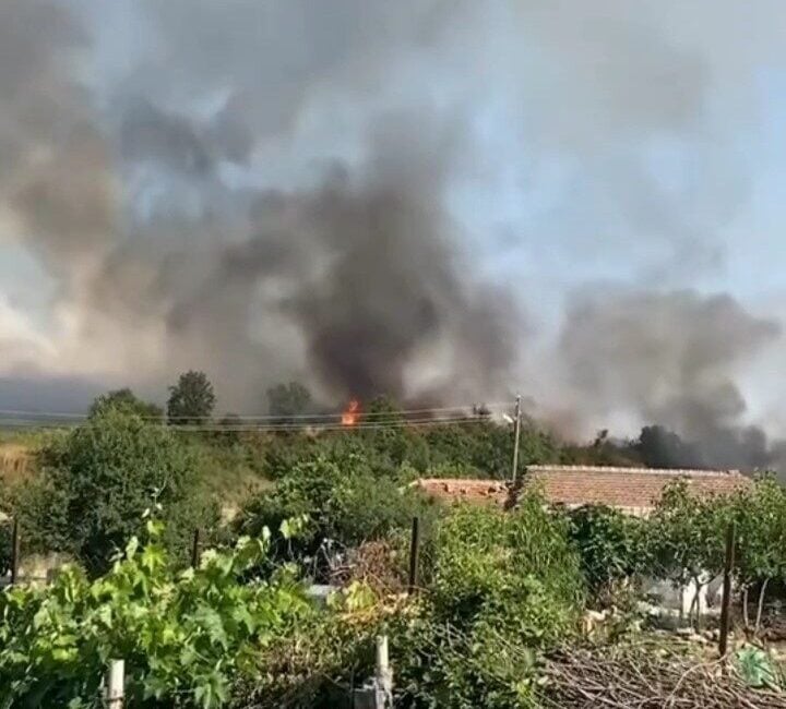 Edirne'nin Rahmanca köyünde buğday tarlasında başlayan yangın, ormana sıçrayarak evlere