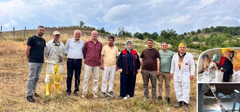 Düzce İl Tarım ve Orman Müdürü Esra Uzun ile Arı