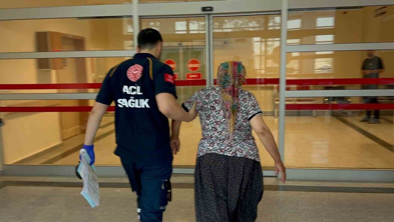 Adıyaman'da Fatma A., yılan tarafından ısırıldıktan sonra hastaneye kaldırıldı. Olay