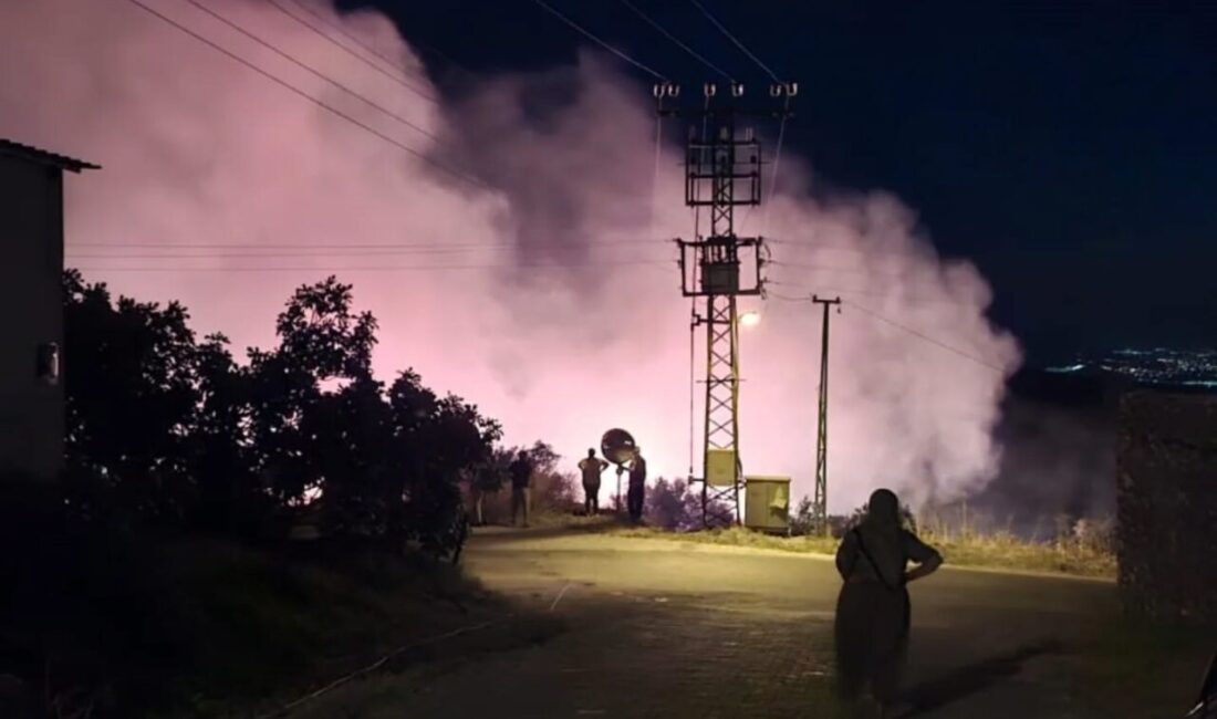 Aydın'ın Yenipazar ilçesinde, Karaçakal Mahallesi'nde gece zeytinlik alanda çıkan yangın,