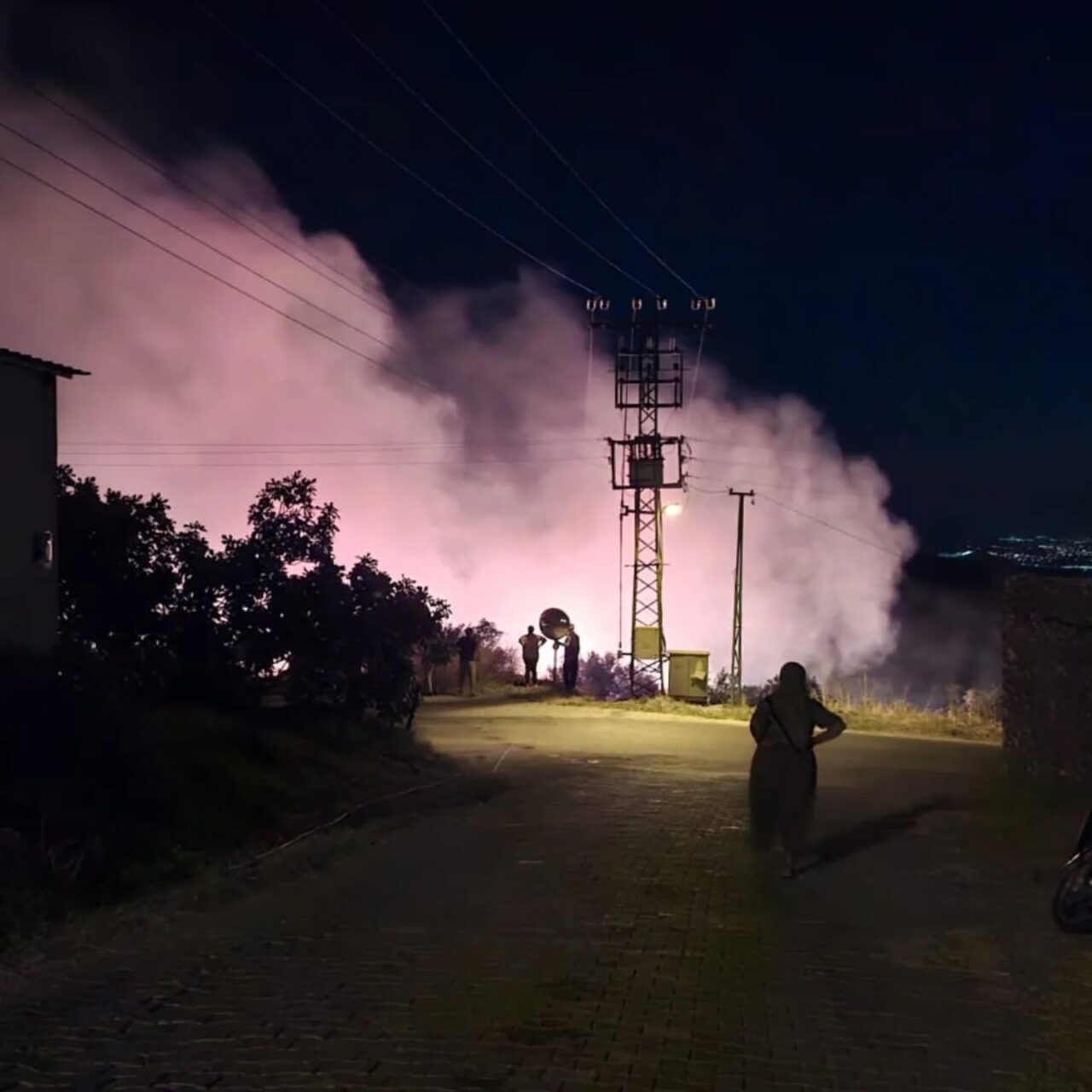 Aydın'ın Yenipazar ilçesinde, Karaçakal Mahallesi'nde gece zeytinlik alanda çıkan yangın,
