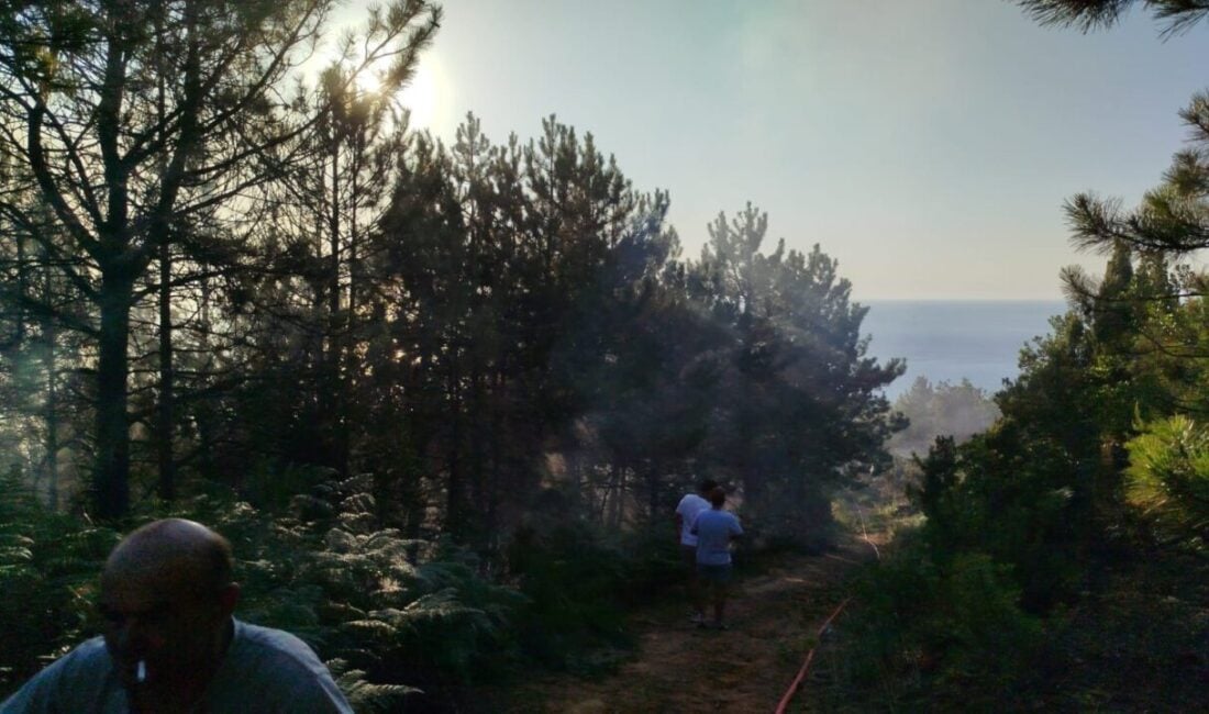 Zonguldak’ın Ereğli ilçesine bağlı Tepeören köyünde çıkan orman yangını, itfaiye