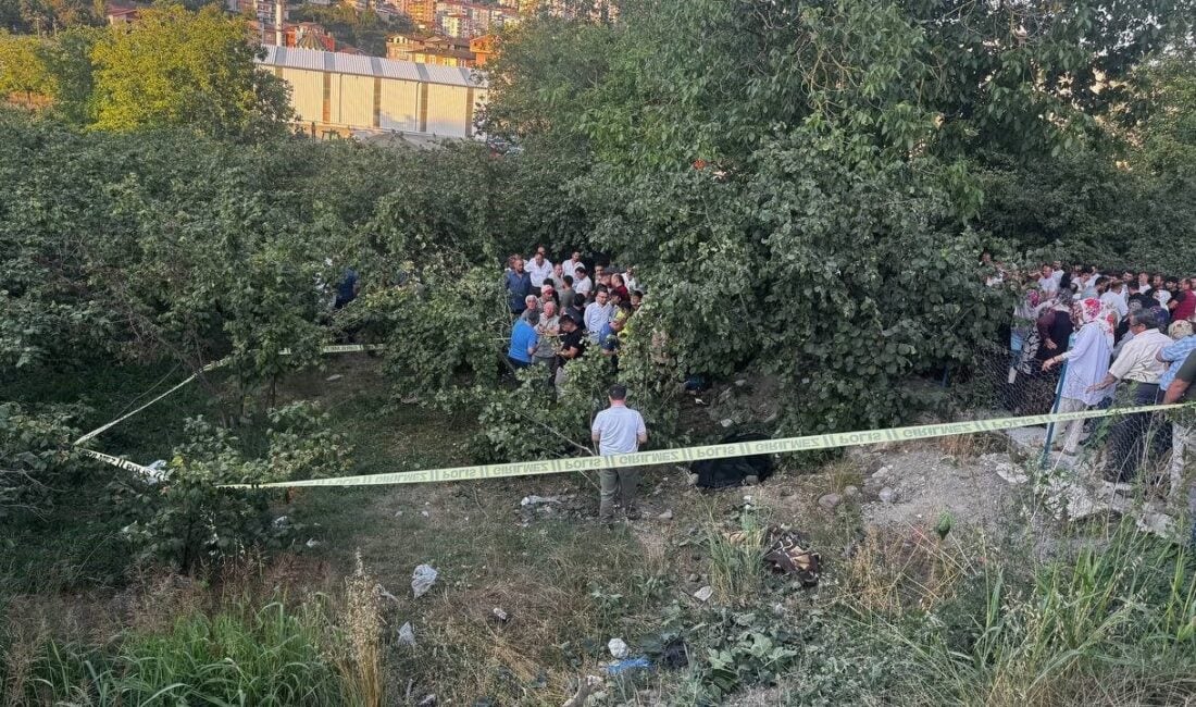 Zonguldak'ın Alaplı ilçesinde Muhammet Uludağ (55) yönetimindeki kamyonetin kupası açılınca