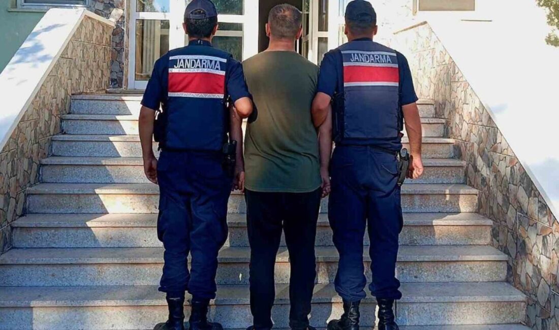 Kırıkkale'de jandarma, 33 yaşındaki S.K.'yı aranan şahıslar operasyonunda yakaladı. "Tutuklu