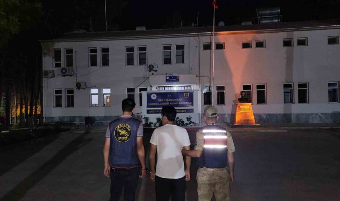 Şanlıurfa'da, kasten öldürme ve göçmen kaçakçılığı suçlarından toplamda 187 yıl